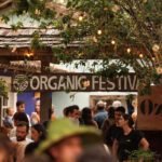 organic-festival-trancoso-1240x903