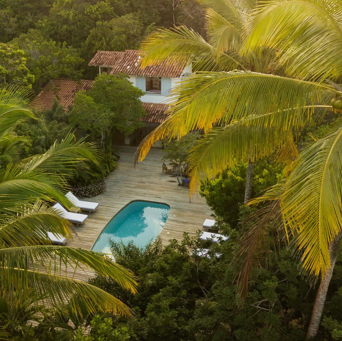 263 - © Bruno Pinheiro - 0062